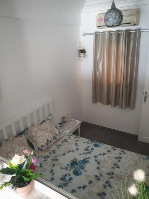 (סוס (עיר Your ¥Achting Home מראה חיצוני תמונה